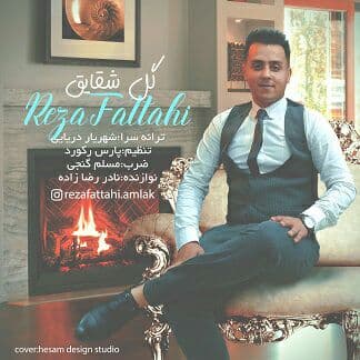 رضا فتاحی گل شقایق